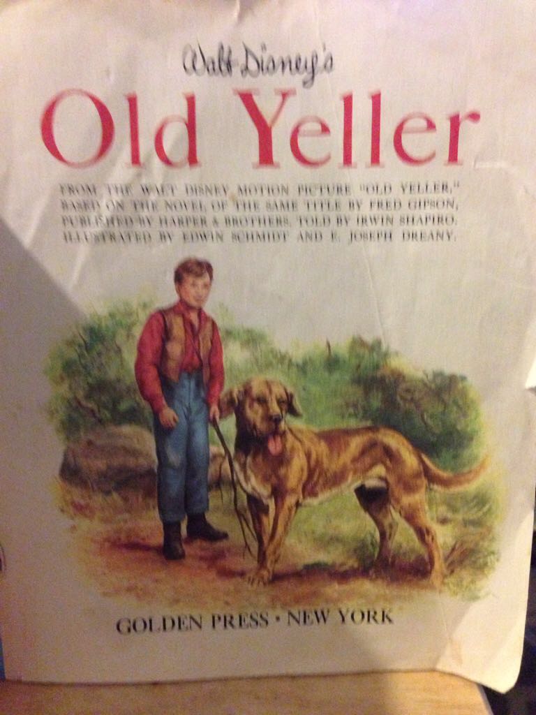 Image 3582269