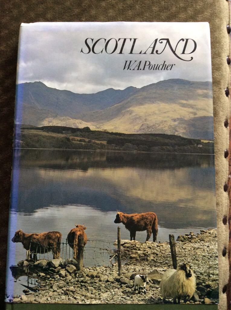 The Detox Diet: The How-To and When-To Guide For Cleansing The Body