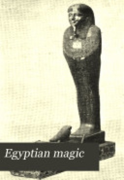 Image 3583163