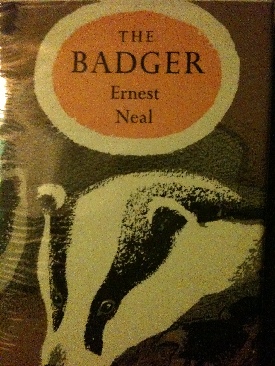 Because Of Winn Dixie