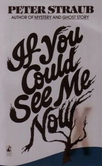 If You Could See Me Now - Peter Straub (Pocket Books) book collectible [Barcode 9780671624231] - Main Image 1