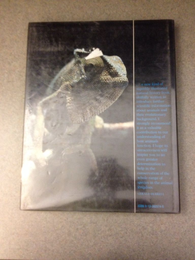 The Grand Design  (Prentice Hall) book collectible [Barcode 9780133625745] - Main Image 2