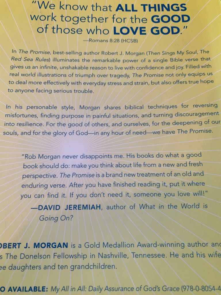 The Promise - Brenda Joyce (B&H Publishing Group) book collectible [Barcode 9780805464825] - Main Image 2