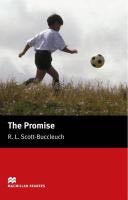 The Promise  (Macmillan) book collectible [Barcode 9781405072779] - Main Image 1