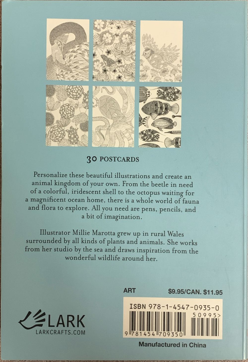 Animal Kingdom - Claire Llewellyn book collectible [Barcode 9781454709350] - Main Image 2