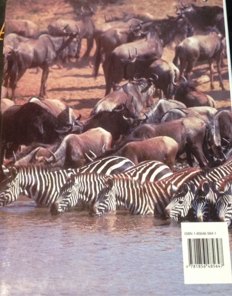 Animal Kingdom - Kit Coppard (PRC Publishing - Hardcover) book collectible [Barcode 9781856485647] - Main Image 2