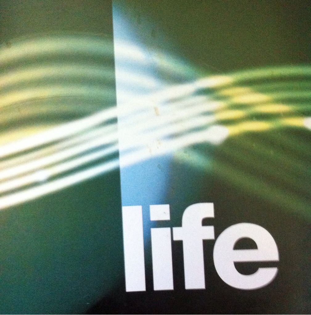 Skippyjon Jones And The Big Bones