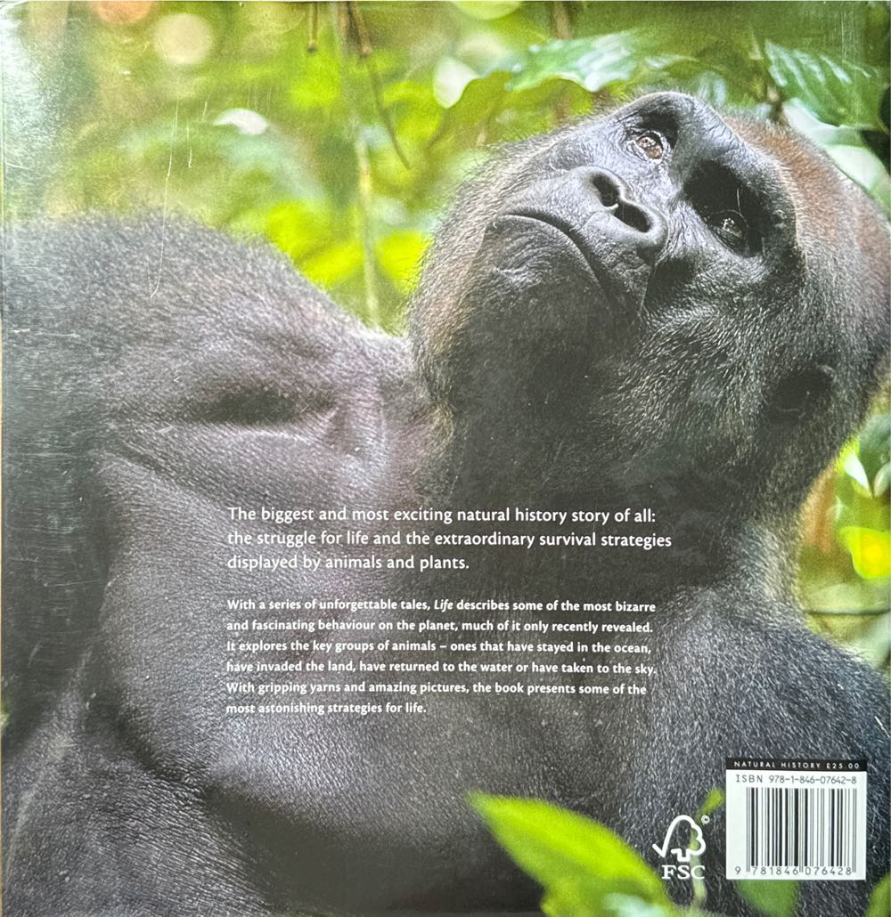 Life - Keith Richards (BBC - Hardcover) book collectible [Barcode 9781846076428] - Main Image 2