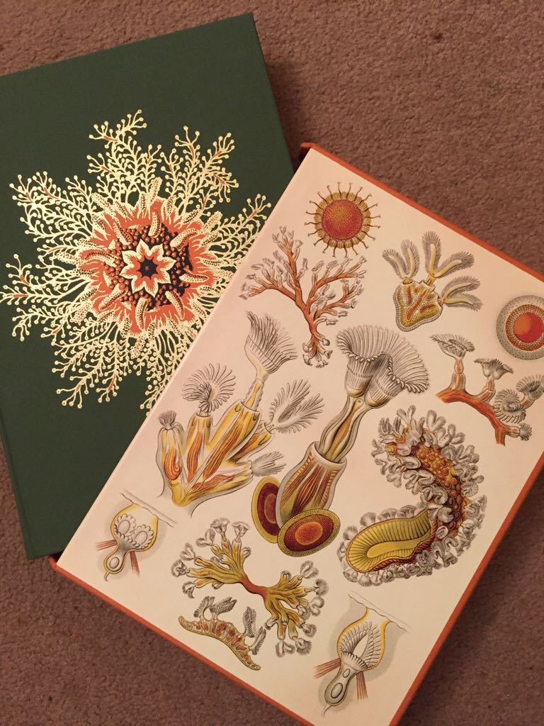 Life - Chris; Woodward, (Folio Society - Hardcover) book collectible - Main Image 2