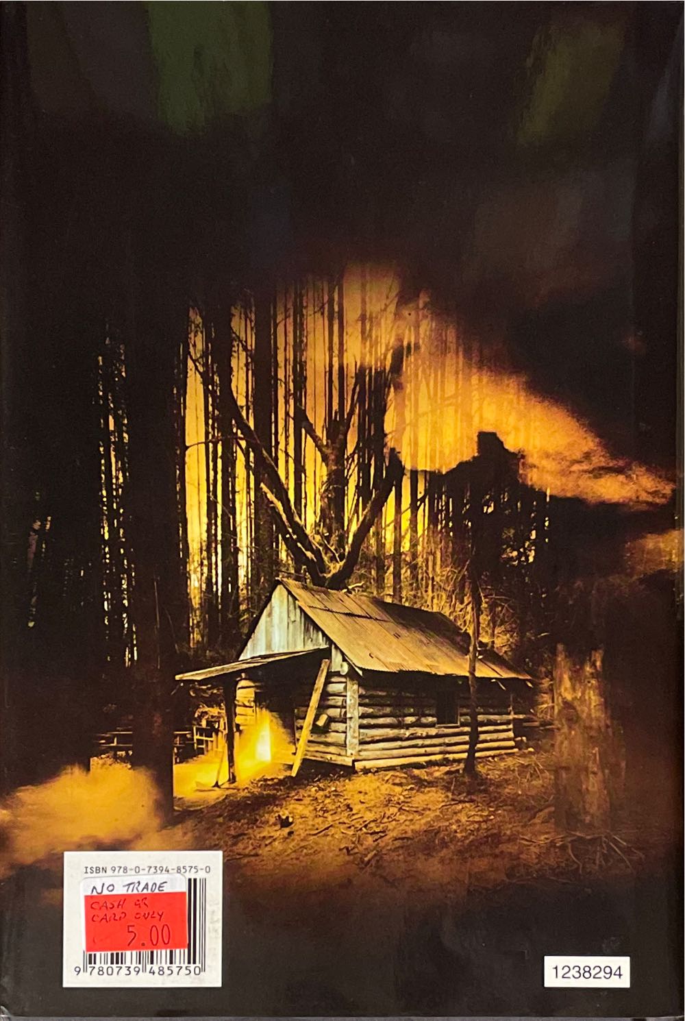 The Vanishing - Bentley Little (Signet - Hardcover) book collectible [Barcode 9780739485750] - Main Image 2