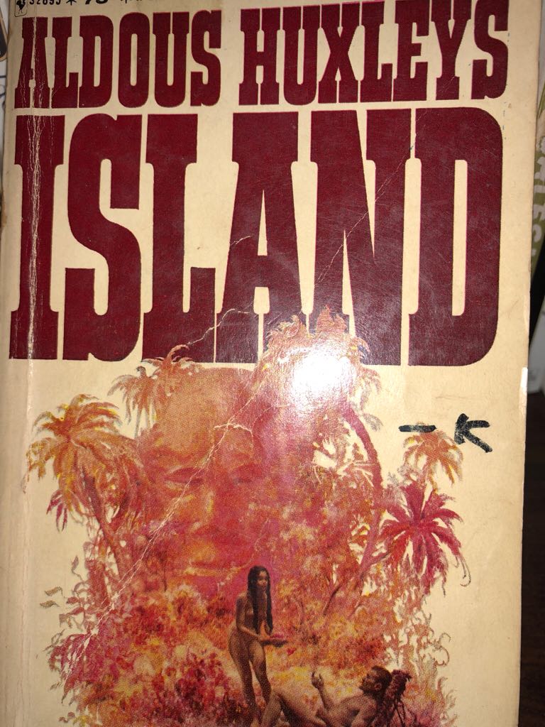 Vogels voeren - Maar nu goed