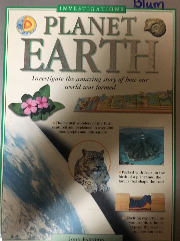 It Takes A Village Idiot, And I Married One