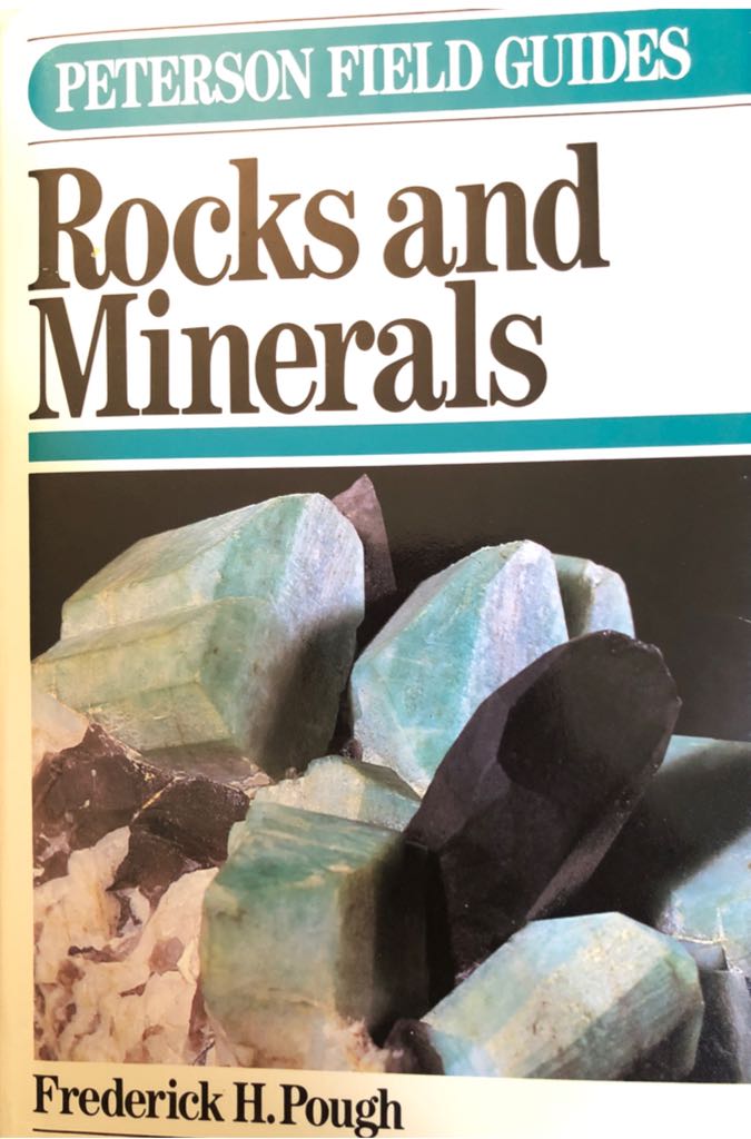 The Strong Willed Child