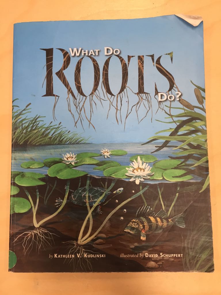 Roots - Kathleen V. Kudlinski book collectible [Barcode 9781559719803] - Main Image 1