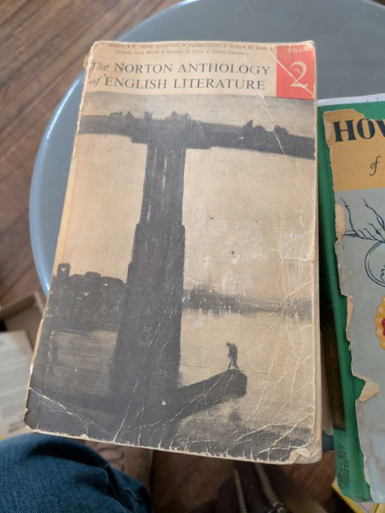 The Norton Anthology Of English Literature - Various (Paperback) book collectible - Main Image 2
