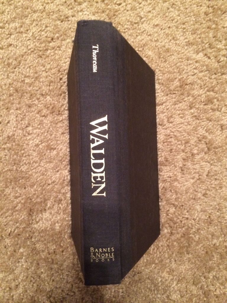 NAEL: The Middle Ages