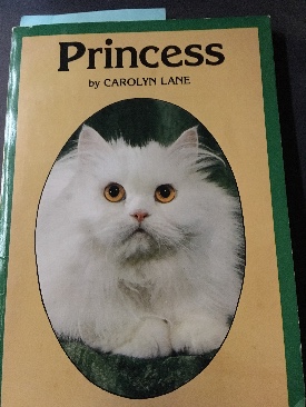 Memories Of A Moon Map