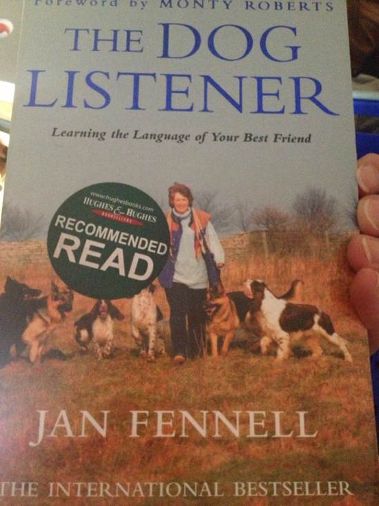 The Girls Handbook Of Spells