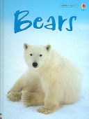 Bears - Deborah Hodge (Usborne Pub Limited - Hardcover) book collectible [Barcode 9780794513931] - Main Image 1