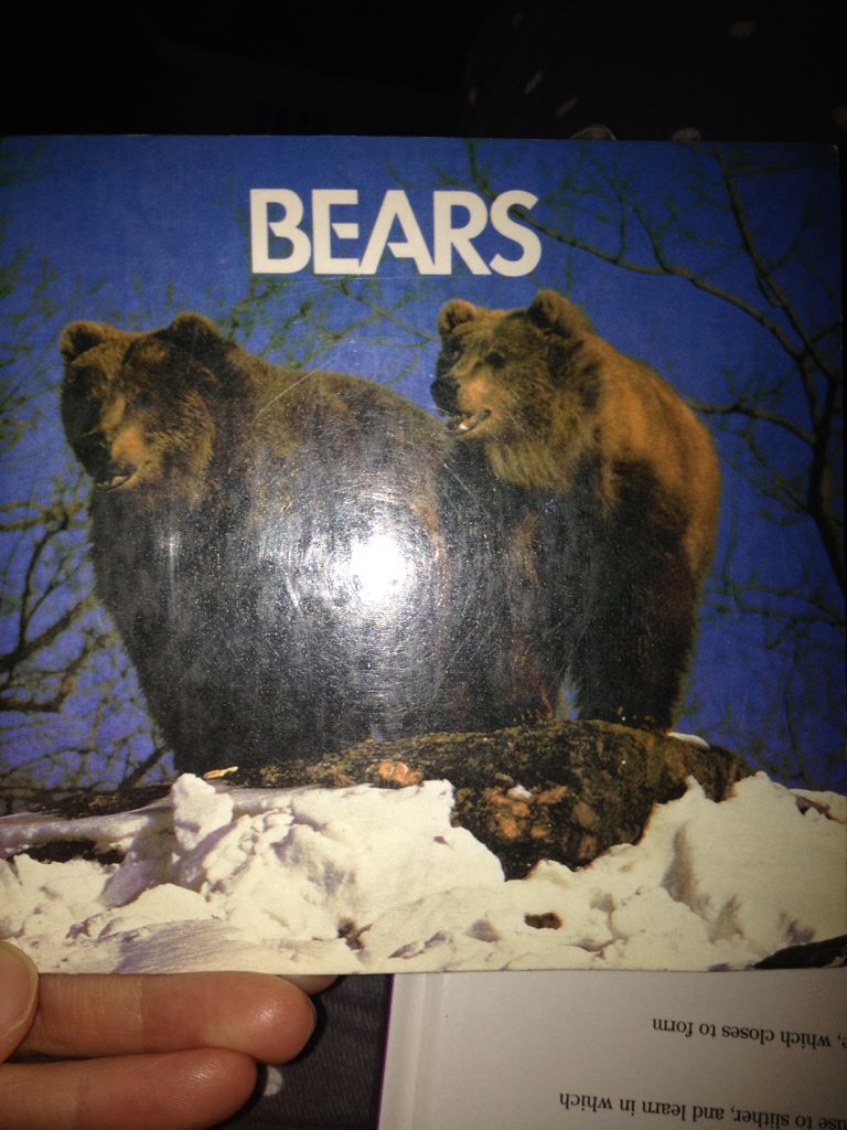 Time Of My Life, The