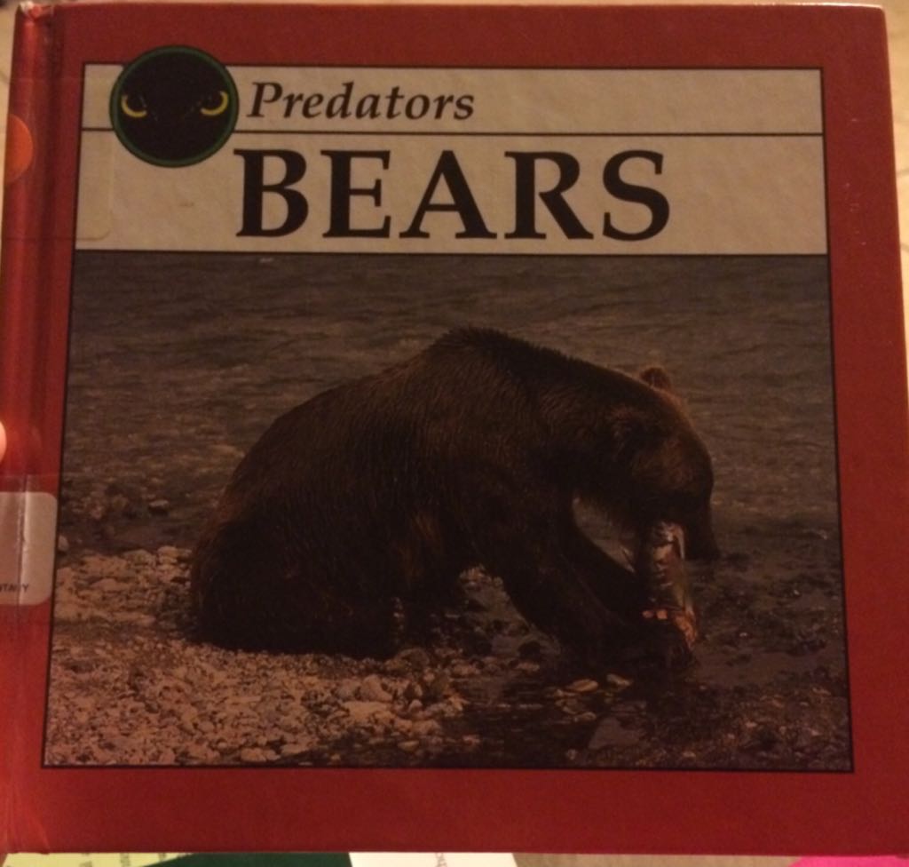 Traditional Oil Painting