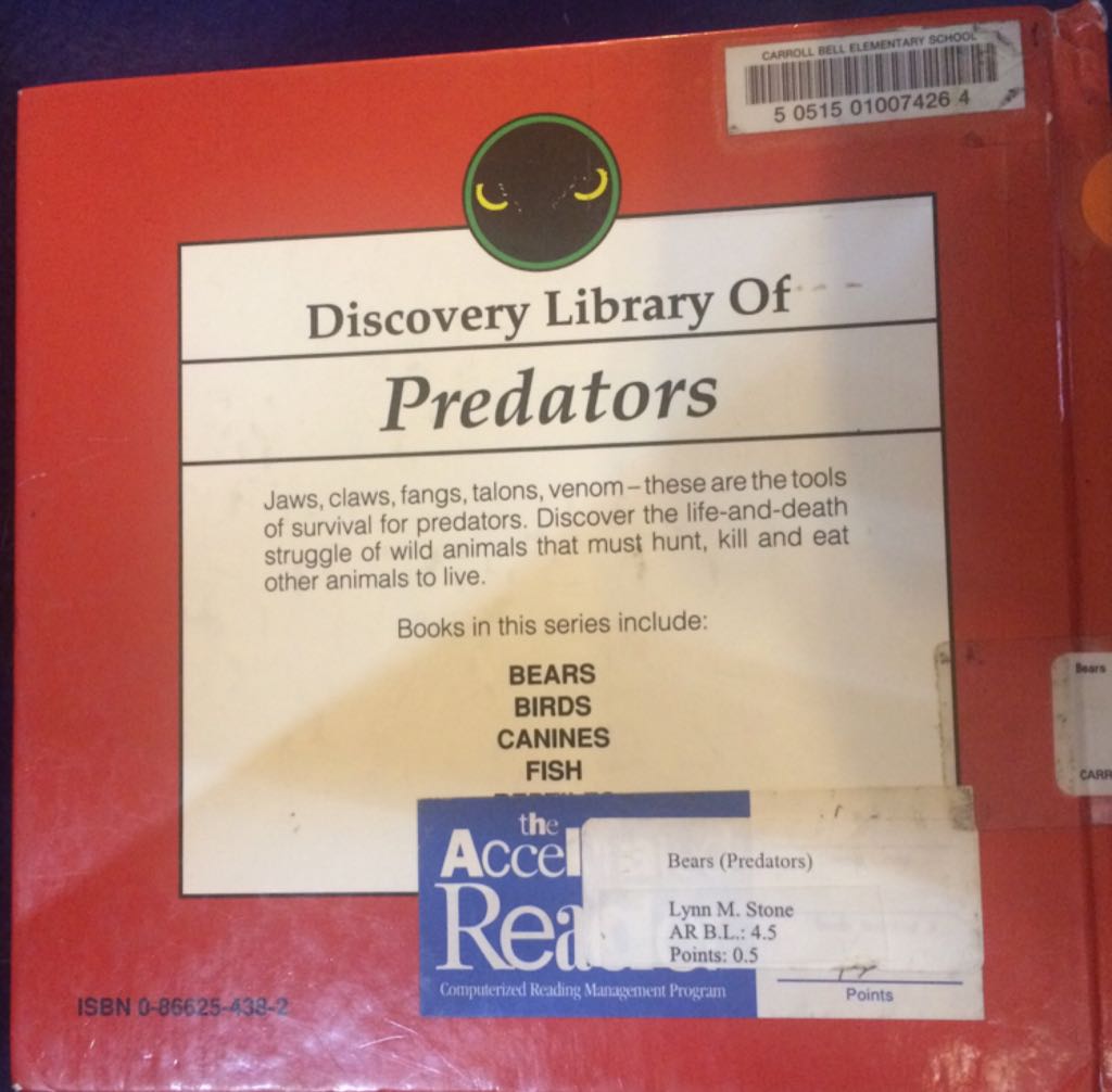 Bears - Lynn M. Stone (Rourke Publishing (FL)) book collectible [Barcode 9780866254380] - Main Image 2