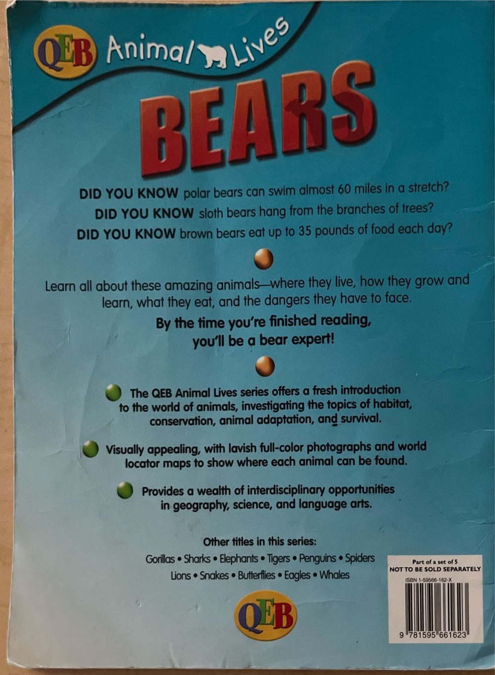 Bears - Sally Morgan (Paperback) book collectible [Barcode 9781595661623] - Main Image 2