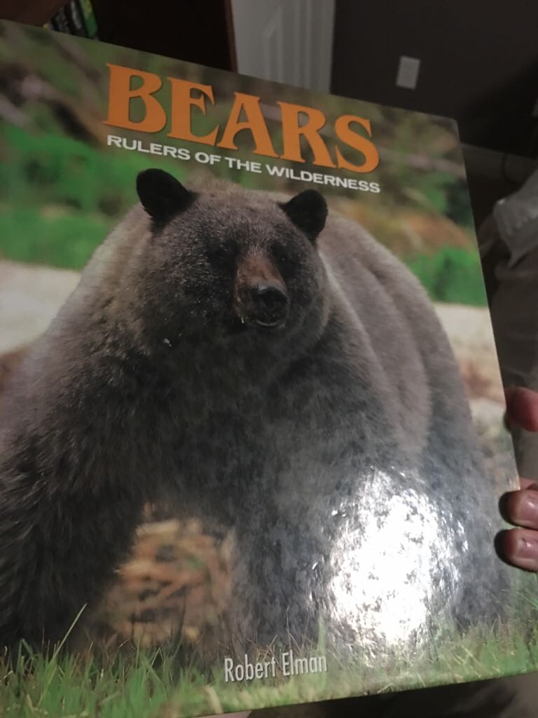 Polar City Nightmare