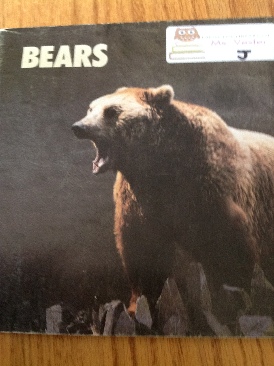 Diana Princess Of Wales A Tribute