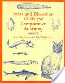 The Tenderness Of Wolves