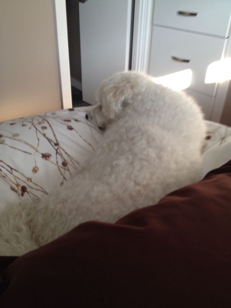 Image 3587287