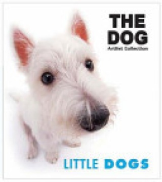 The Three Musketeers: In Easy-To-Read-Type (Dover Children’s Thrift Classics)