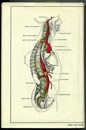 Grays Anatomy - Unknown (Hardcover) book collectible - Main Image 2