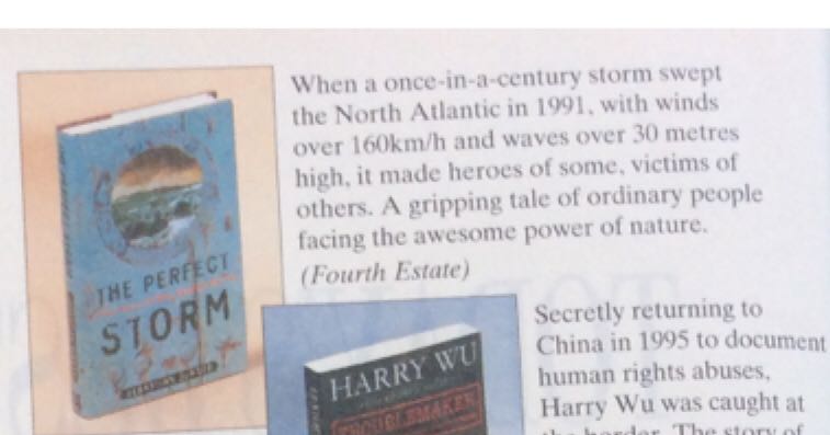 The Perfect Storm  (Flat) book collectible - Main Image 2