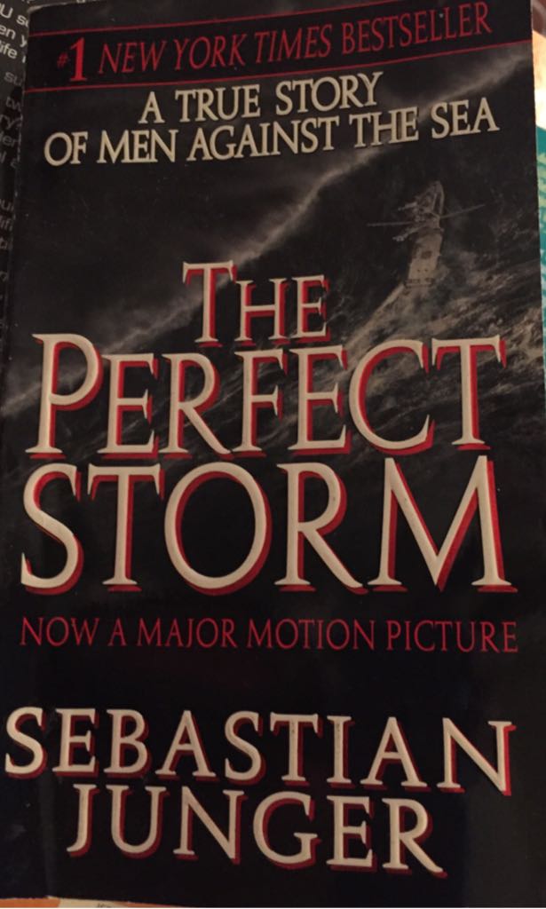 The Perfect Storm - Sebastian Junger (Paperback) book collectible - Main Image 1