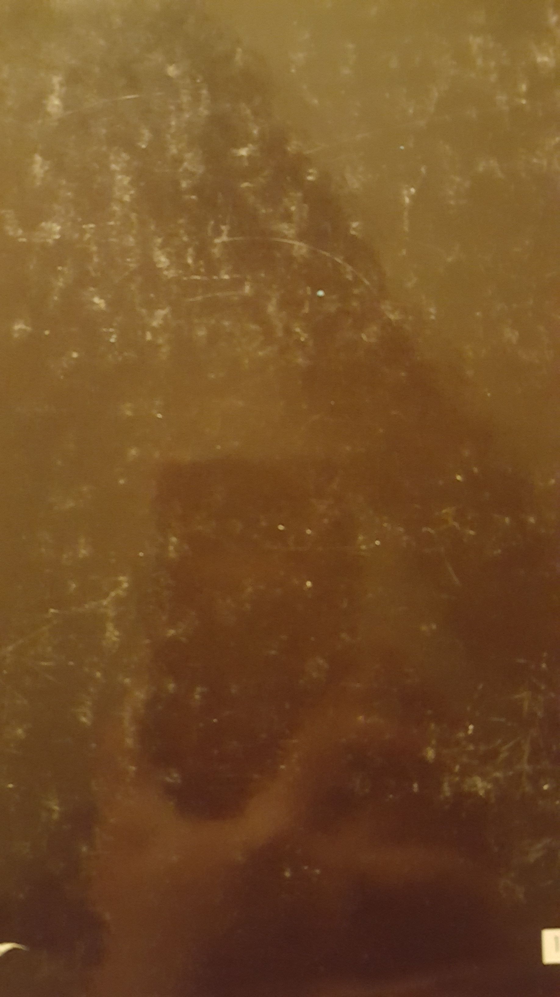 Club Vampyre - K. Hamilton (Ace Books) book collectible - Main Image 2