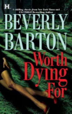 Sea Harrier Over The Falklands