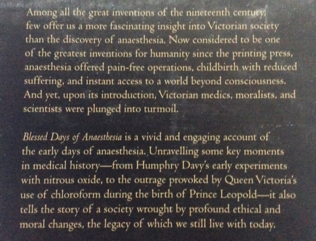 Blessed Days Of Anaesthesia - Stephanie J. Snow book collectible [Barcode 9780192805867] - Main Image 2