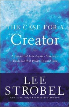 The Portrait Of A Lady