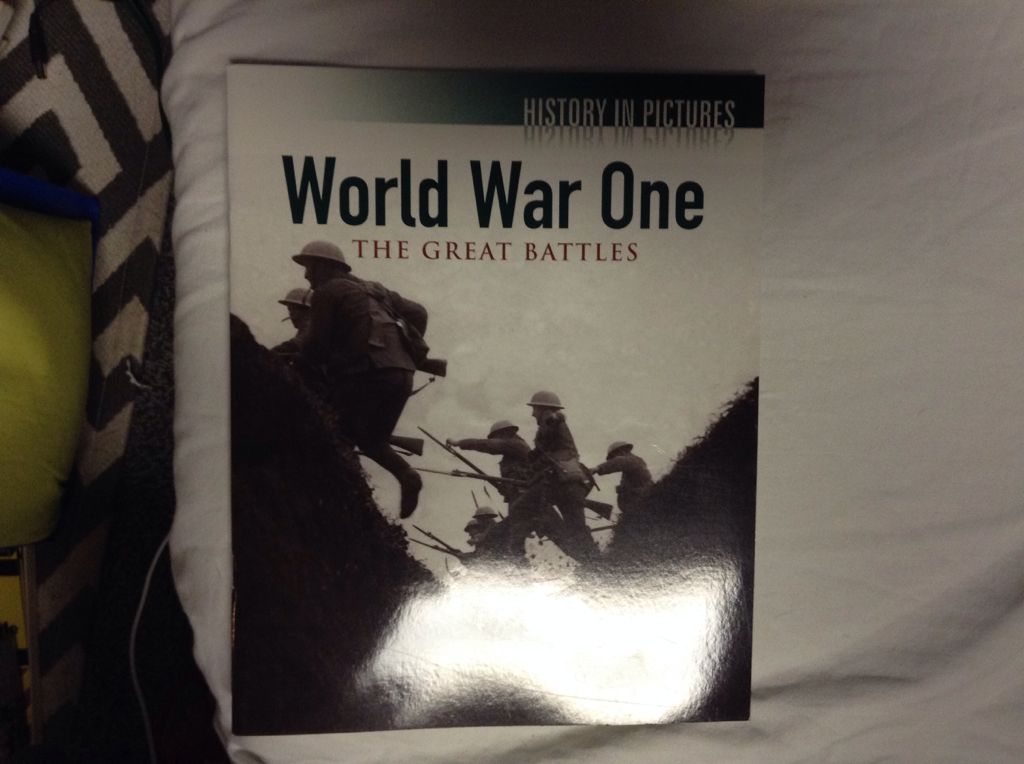 Portrait Of A Lady, The