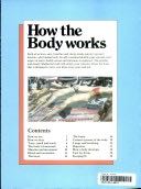 Tiny Ladies In Shiny Pants