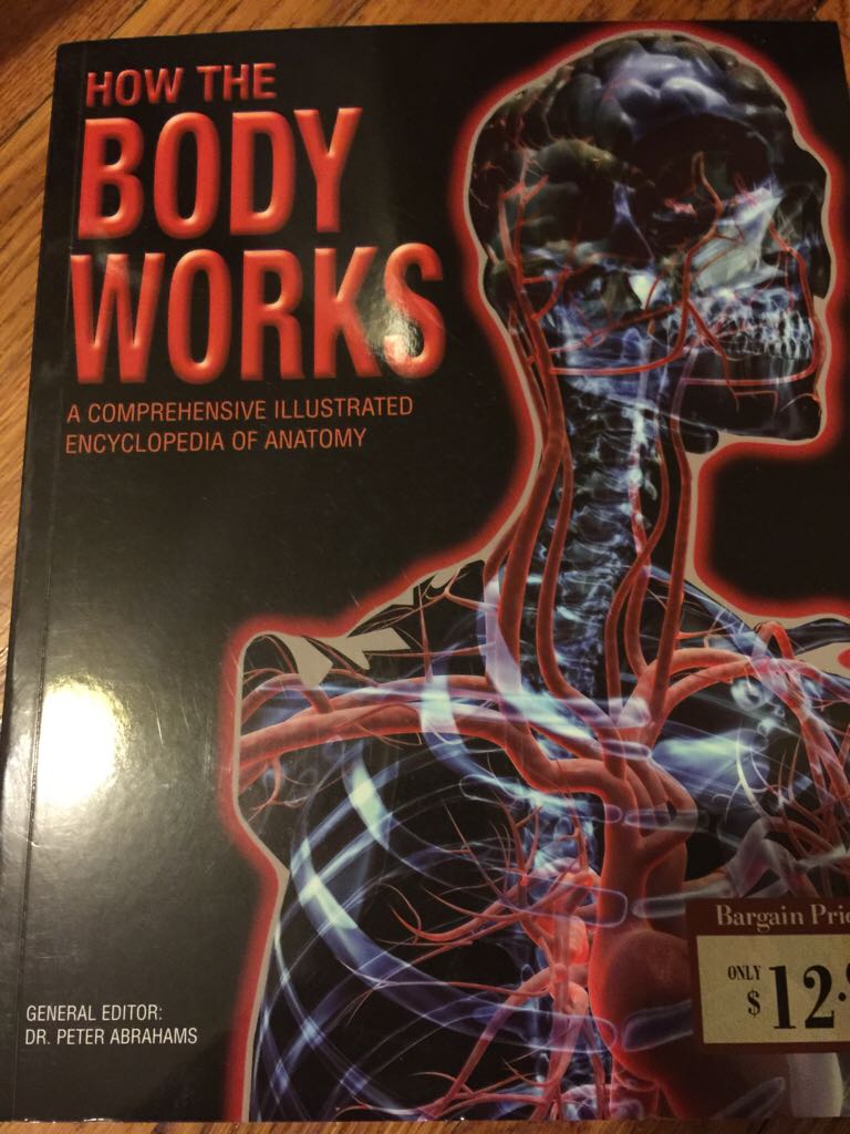 Manual Of The Warrior Of Light