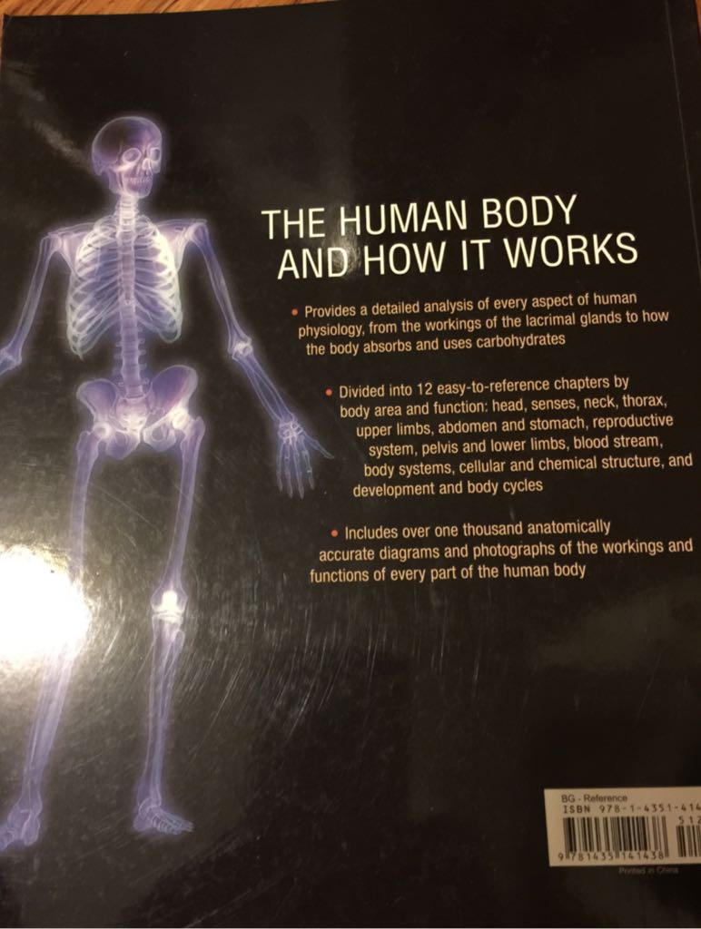 How The Body Works - Peter Abrahams (Metro Books - Paperback) book collectible [Barcode 9781435141438] - Main Image 2