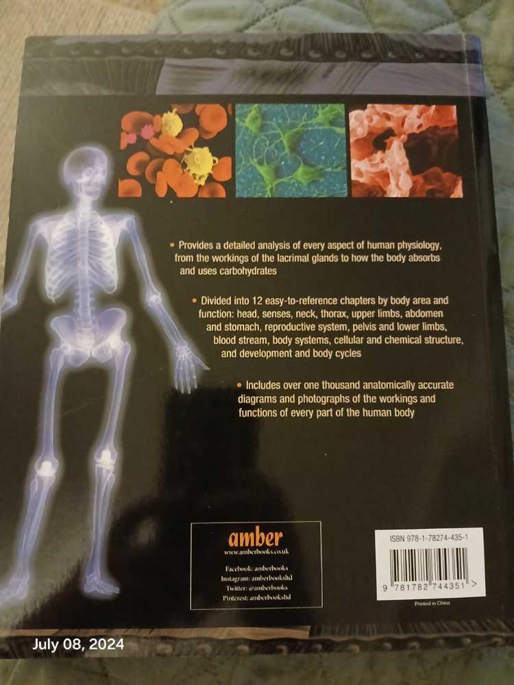 How The Body Works - DK (Amber Books - Thermal Bind) book collectible [Barcode 9781782744351] - Main Image 2
