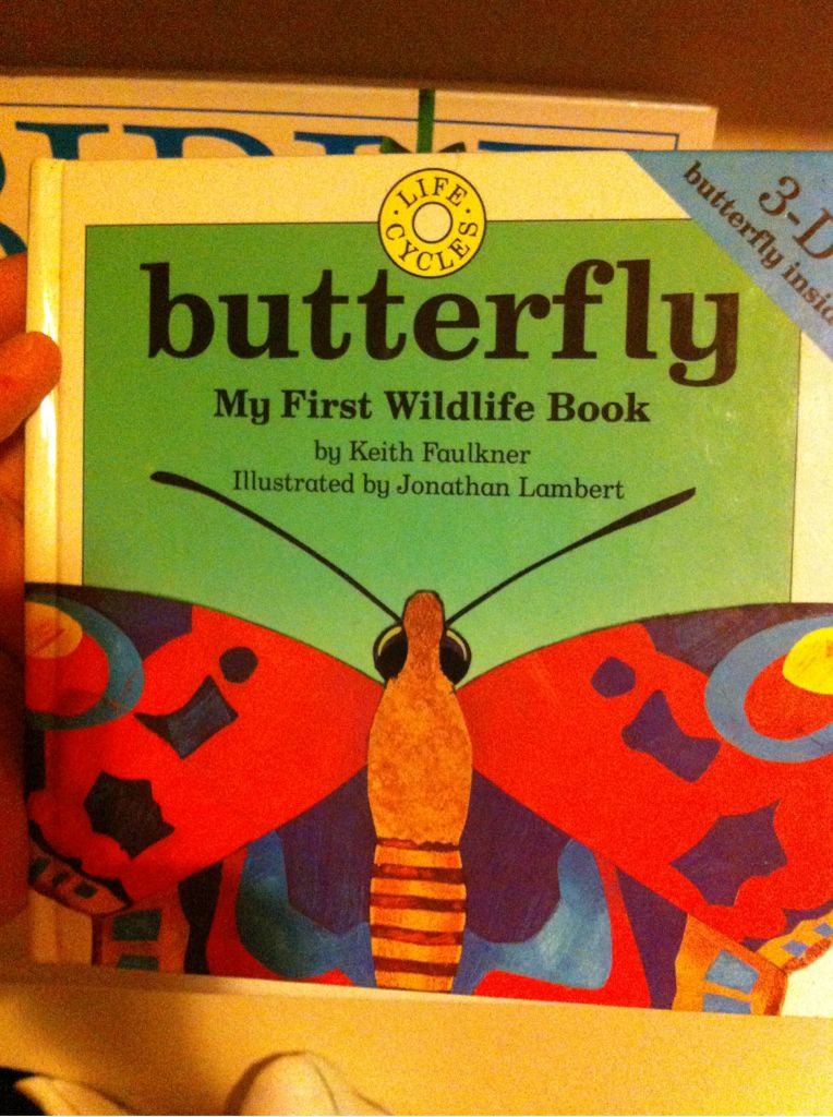 Pictures at a Revolution