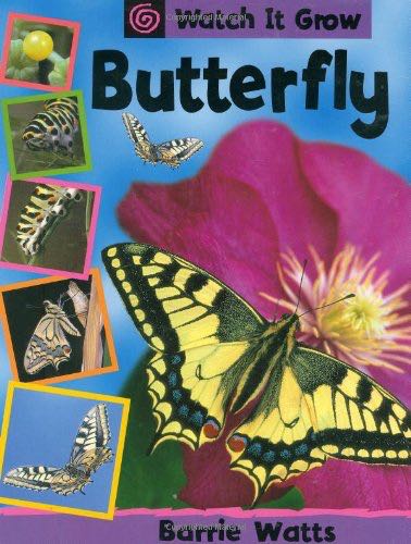 The Portrait Of A Lady