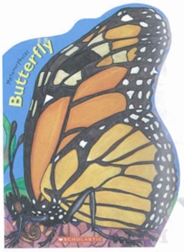 Zombies vs. Unicorns