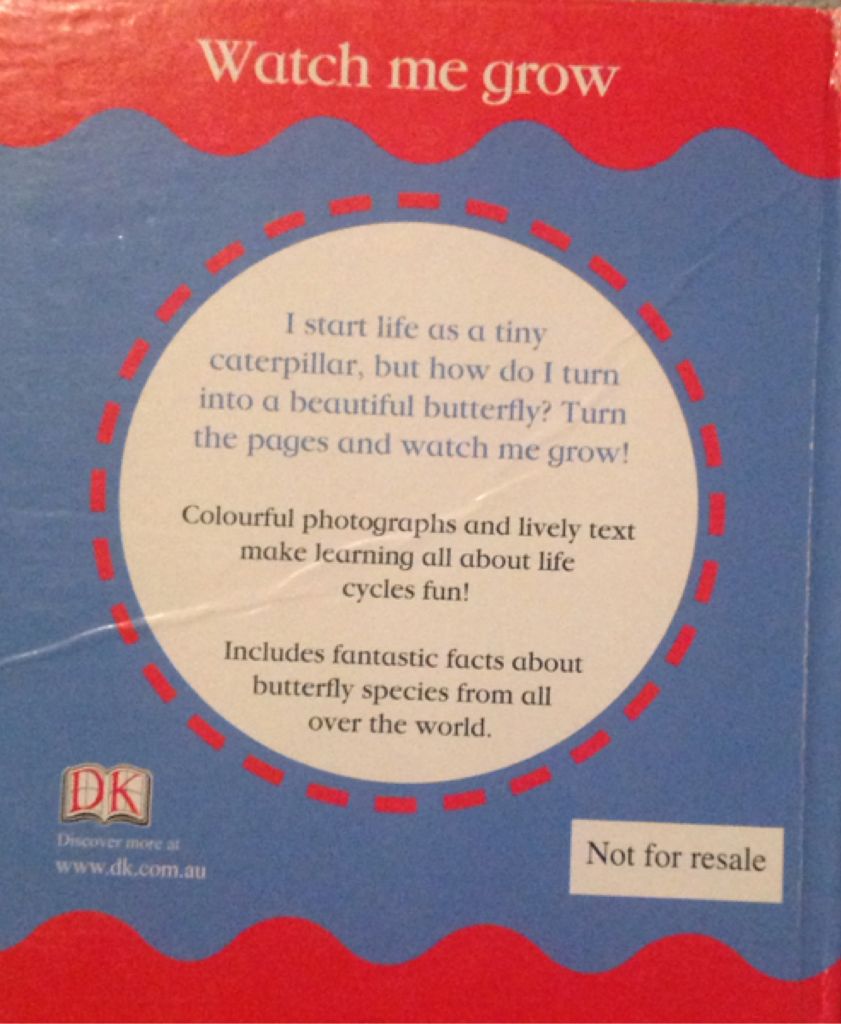 Butterfly  (Hardcover) book collectible - Main Image 2