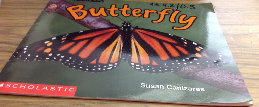 Butterfly  book collectible - Main Image 1