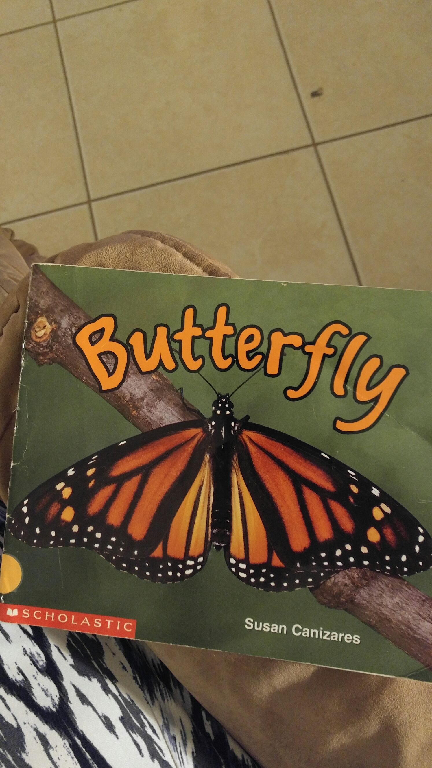 Hunchback of Notre Dame